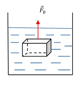 Archimedes Principle